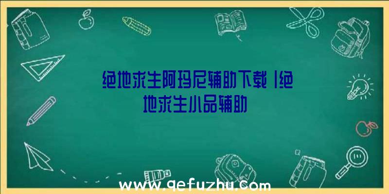 「绝地求生阿玛尼辅助下载」|绝地求生小品辅助